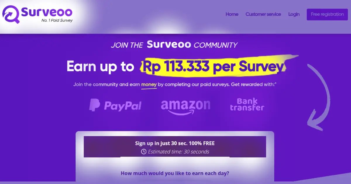 surveoo review